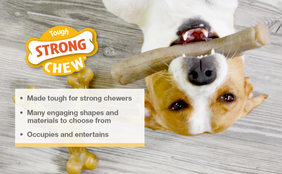 Nylabone Real Wood Stick Strong Dog Stick Chew Toy Maple Bacon Medium/Wolf (1 Count) - Strong Chew