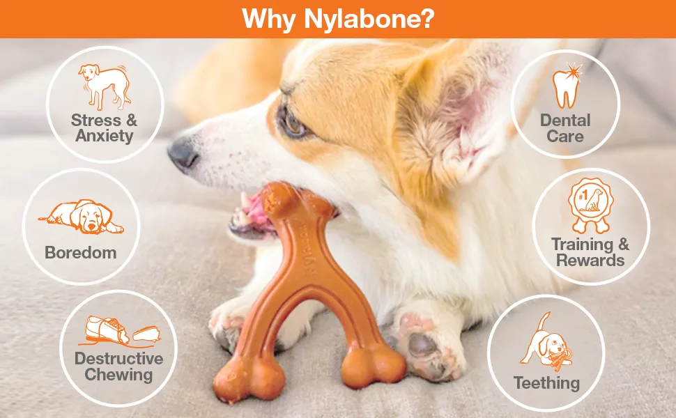 Nylabone Real Wood Stick Strong Dog Stick Chew Toy Maple Bacon Medium/Wolf (1 Count) - Why Nylabone