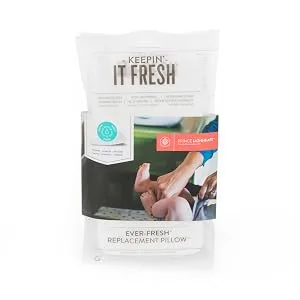 Prince Lionheart Ever-Fresh Replacement Pillows for Ultimate Wipes Warmer, 2 Count (Pack of 1) - product information 1