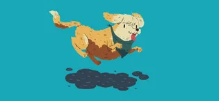 Messy Mutts & Cats Silicone Reversible Interactive Feeding and Licking Mat | 5.5 x 5.5 | Slow Feeder for Boredom & Anxiety | Lick Pad for Cats & Small Dogs | Watermelon - daisy brown dog graphic chewing on outside water hose water play fun puppy products cute pet