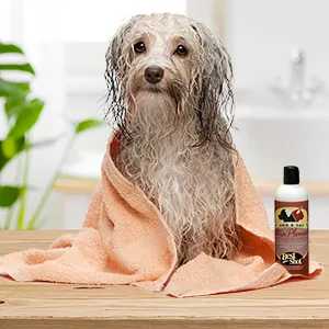 Best Shot Ultra Plenish Conditioner 12-Ounces - Best Shot