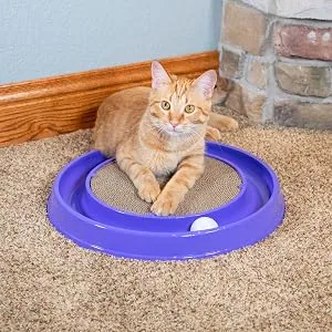 Kitty City Deluxe and Basic Cat Toy Box, Scratcher Ball Track Scratcher Refill - Cat Scratcher
