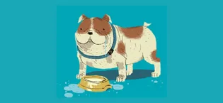 Messy Cats Silicone Interactive Feeder | Silicone Slow Feeder for Cats, Kittens | Wet or Dry Food Puzzle Bowl for Pets | Small - bulldog drinking out of bowl rufus graphic messy mutt dog pooch slow feeder silicone safe durable