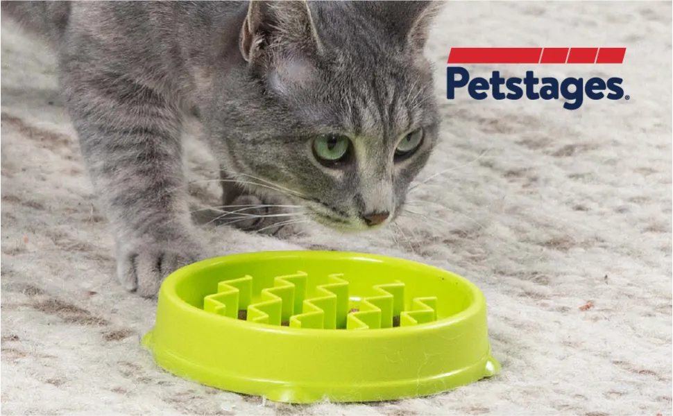 Petstages Kitty Slow Feeder Cat Bowl, Green - cat exploring slow feeder maze