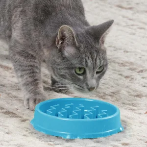 Petstages Kitty Slow Feeder Cat Bowl, Green - Gray tabby cat eating from Petsages blue slow feeder