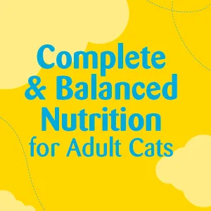 TEMPTATIONS Jumbo Stuff Cat Treats, Savory Salmon, Multiple Sizes, Large Cat Treats 14 Ounce (Pack of 1) - Complete & Balanced Nutrition for Adult Cats