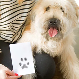 Pearhead Pet Ink Print 2 Pack Pet Ink Pad, Black - Pet posing next to completed pawprint imprint