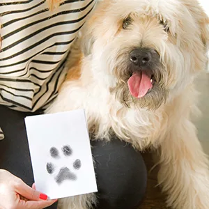 Pearhead Pet Ink Print Medium/Large Pet Ink Pad, Black - Pet posing next to completed pawprint imprint