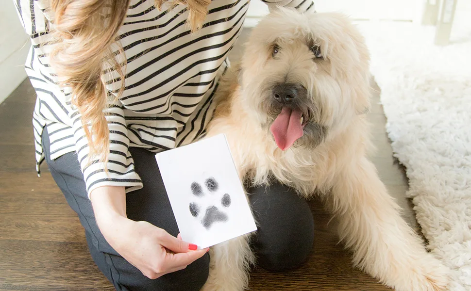 Pearhead Pet Ink Print Medium/Large Pet Ink Pad, Black - Pet sitting next to owner and completed pawprint imprint