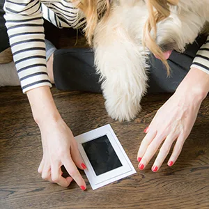 Pearhead Pet Ink Print Medium/Large Pet Ink Pad, Black - Step 1 of creating pet pawprint with inkpad