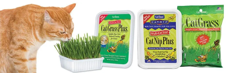 Cat-A'bout Multi-Cat CatGrass Plus Tub 150 grams by MiracleCorp/Gimborn - kitty grass, grass for indoor cats, indoor grass plants, oat grass for cats, wheat grass for cats