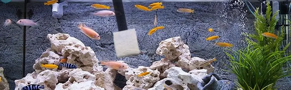 API ALGAE SCRAPER For Glass Aquariums 1-Count Container - api algae scraper aquarium fish freshwater saltwater