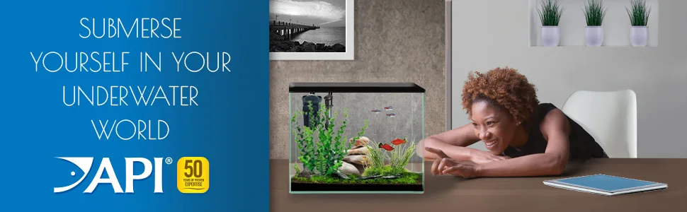 API ALGAE SCRAPER For Glass Aquariums 1-Count Container - api brand banner