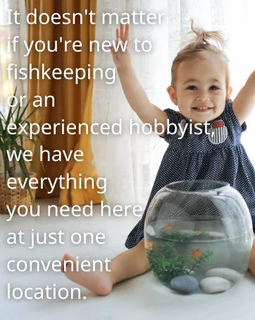 Fish Feeding Square Aquarium Fish Tank Ring Feeder Floating Food Circle 10cm - fish tank betta accessories plant decorations aquarium filter heater java moss shrimp filter decor