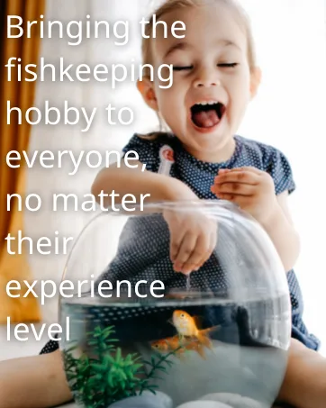Fish Feeding Square Aquarium Fish Tank Ring Feeder Floating Food Circle 10cm - fish tank betta fish accessories plant decorations aquarium filter heater java moss shrimp filter