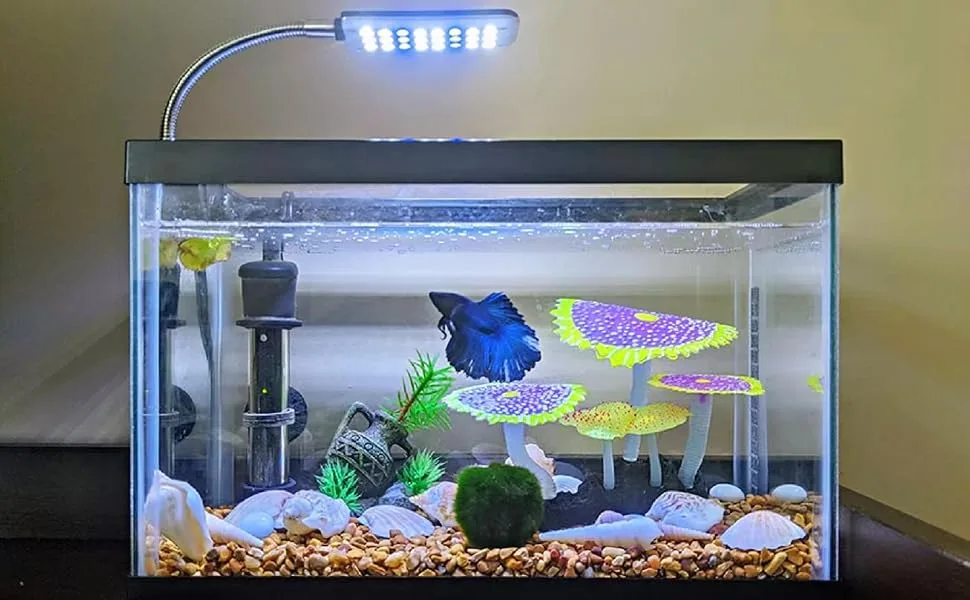 Aquarium Light Clip on Fish Tank Lighting Small Fish Light for Tanks Without Border, White and Blue LEDs White&blue Leds No Timer & Dimmer 1.5w - product information 1