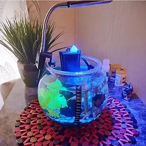Aquarium Light Clip on Fish Tank Lighting Small Fish Light for Tanks Without Border, White and Blue LEDs White&blue Leds No Timer & Dimmer 1.5w - product information 5