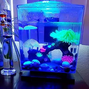 Aquarium Light Clip on Fish Tank Lighting Small Fish Light for Tanks Without Border, White and Blue LEDs White&blue Leds No Timer & Dimmer 1.5w - product information 6