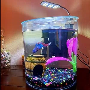 Aquarium Light Clip on Fish Tank Lighting Small Fish Light for Tanks Without Border, White and Blue LEDs White&blue Leds No Timer & Dimmer 1.5w - product information 7
