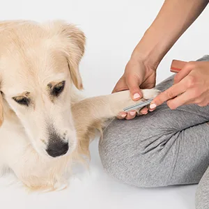 Dudi Dog Nail Clippers and Trimmers- with Quick Safety Guard to Avoid Over-Cutting Toenail- Grooming Razor Sharp Blades & Nail File for Small Medium Large Breeds Black(Large&Medium) - product information 5