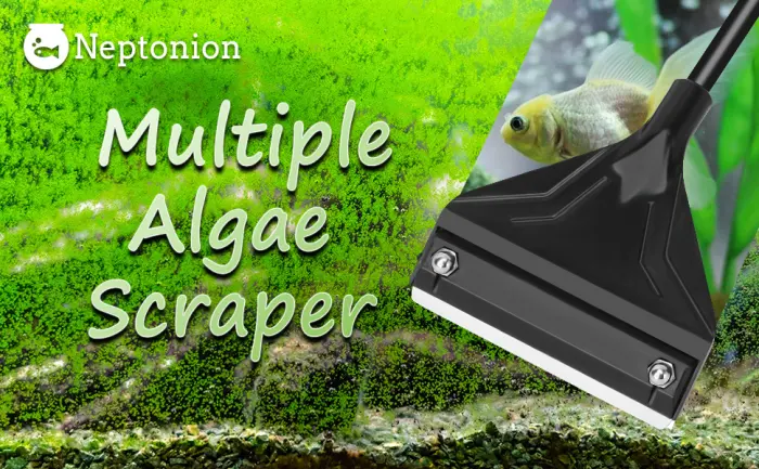 NEPTONION 24.5 Professional Algae Scraper, Aquarium Blade Cleaner with 10 Pcs Replaceable Blades Stubborn Algae, Suitable for Water Tank Size Above 30 Gallons L Black - Algae Scraper