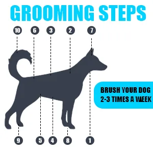 Glendan Dog Brush & Cat Brush- Slicker Pet Grooming Brush- Shedding Grooming Tools Pink-Small - brush-3