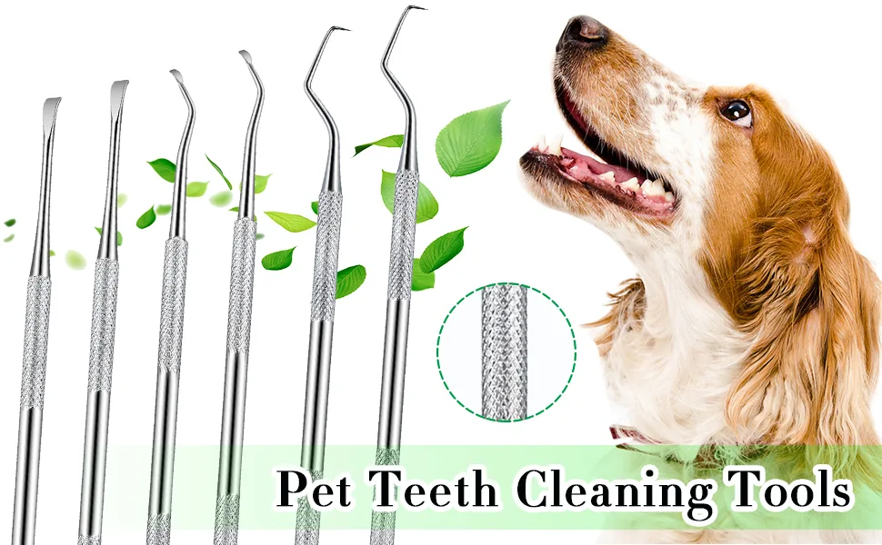 3 Pieces Dog Dental Tooth Scaler and Scraper Stainless Double Headed Tarter Remover Scraper Pet Teeth Cleaning Tools for Dog and Cat Silver - product information 2