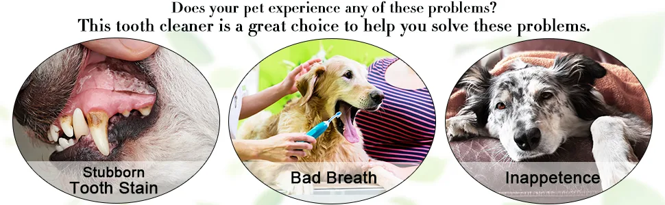 3 Pieces Dog Dental Tooth Scaler and Scraper Stainless Double Headed Tarter Remover Scraper Pet Teeth Cleaning Tools for Dog and Cat Silver - product information 4