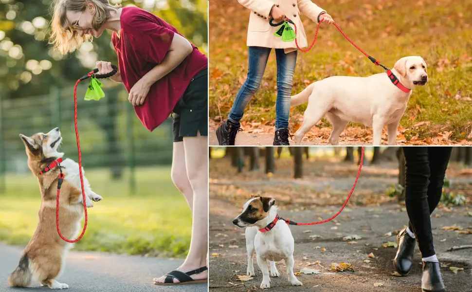 Taglory Reflective Dog Collar with Safety Locking Buckle, Adjustable Nylon Pet Collars for Puppy Small Medium Large and Extra Large Dogs Large (Pack of 1) Red - reflective dog collar