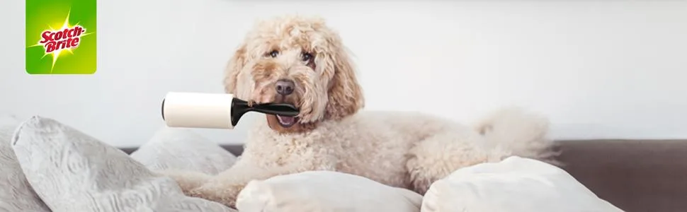 1 Box, New 56 Sheets (2 Count) - Dog holding pet lint roller
