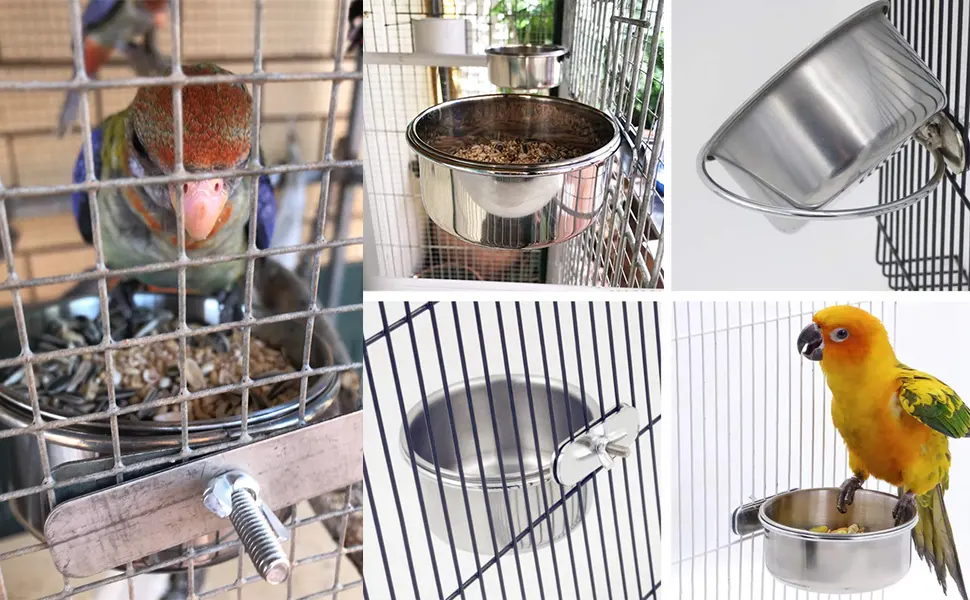 kathson 2 Pack Bird Feeding Cups with Clamp Holder, Parrot Food & Water Cage Hanging Bowl Stainless Steel Coop Cup Dish Feeder for Parakeet Cockatiels Conure Budgies Lovebird Finch - Bird feeding cups with clamp