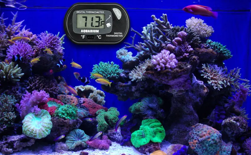 Zacro LCD Digital Aquarium Thermometer Fish Tank Water Terrarium Temperature - product information 8