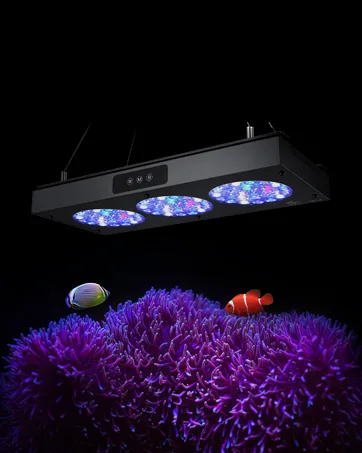 NICREW Aquarium Stone Disk, Round Fish Tank Bubbler with LEDs, Aquarium and Fish Tank Decoration 2 inch Multicolor - product information 8