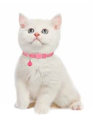 Joytale Breakaway Cat Collars, Reflective Pet Collars with Bell, Kitten Collars for Boy and Girl Cats, Adjustable Size 6"-9" and 9"-13", 2 Pack Kitten Pink - small cat collar