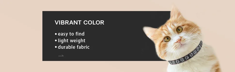 Taglory Reflective Cat Collars Breakaway with Bell, 2 Pack Girl Boy Pet Kitten Collar 7.5-12.5" Black - cat collar
