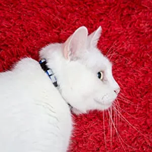 Upgraded Version - Reflective Cat Collar with Bell, Set of 6, Solid & Safe Collars for Cats, Nylon, Mixed Colors, Pet Collar, Breakaway Cat Collar, Free Replacement (6-Pack) - cat collare