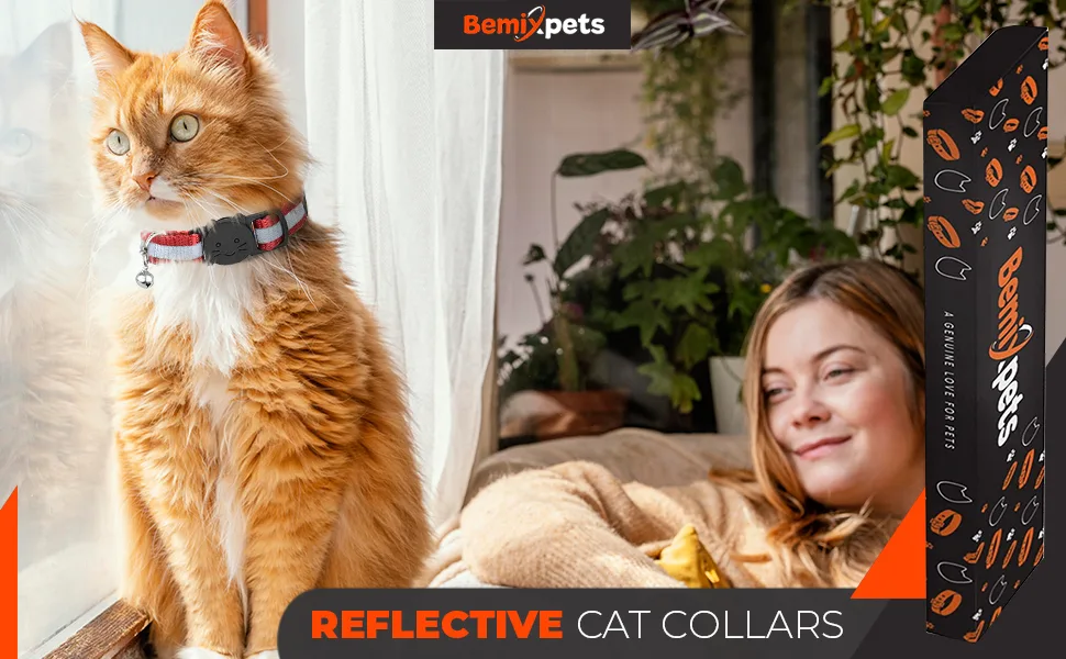 Upgraded Version - Reflective Cat Collar with Bell, Set of 6, Solid & Safe Collars for Cats, Nylon, Mixed Colors, Pet Collar, Breakaway Cat Collar, Free Replacement (6-Pack) - cat collars reflective breakaway black moon stars paw