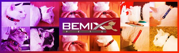 Upgraded Version - Cat Collar Stars and Moon, 4-Pack, Reflective with Bell, Solid & Safe Collars for Cats, Nylon, Kitty Collars, Pet Collar, Breakaway Cat Collar, Free Replacement Black, Red, Blue, Purple - cat collar bemix pets