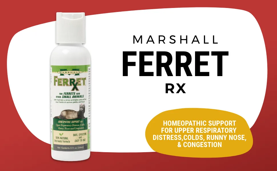 Marshall Pet Products Natural Veterinary Formula Ferret RX Homeopathic Upper Respiratory Relief Supplement, for Ferrets and Small Animals, 2 oz - Ferret RX