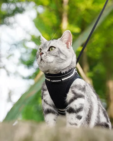rabbitgoo Kitten Harness and Leash Set, Escape Proof Cat Walking Vest for Small Cats, Adjustable Easy Control Outdoor Harness, Breathable Pet Jacket with Reflective Strips, Geometric Pattern Small Orange&Red - rabbitgoo