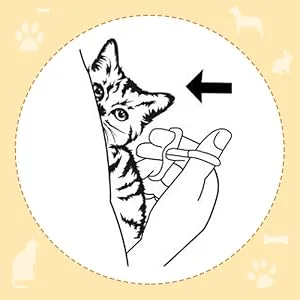 Havenfly 2 Pack Cat Pill Shooter, Pill Gun for Dogs, Baby Animal Feeding Kit with 2 Soft Silicone Tip for Feeding Small Animals - step 3