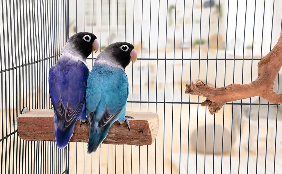Niteangel Parrot Cage Perch, Wooden Platform for Birds 2 Packs - product information 2