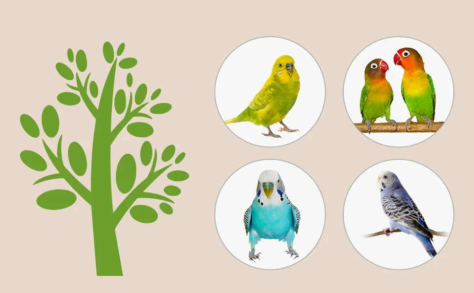Niteangel Parrot Cage Perch, Wooden Platform for Birds 2 Packs - product information 4