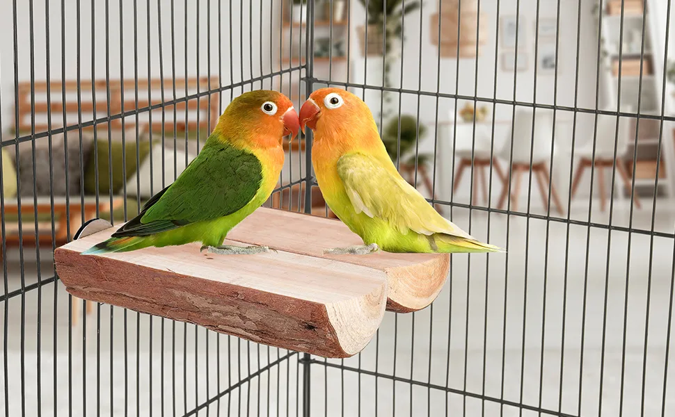 Niteangel Parrot Cage Perch, Wooden Platform for Birds 2 Packs - product information 6