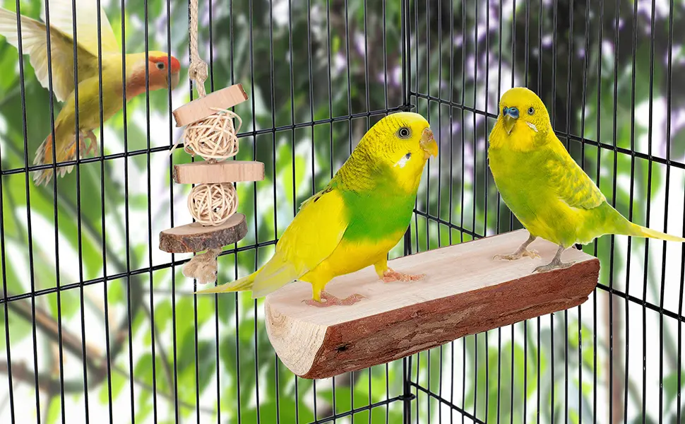 Niteangel Parrot Cage Perch, Wooden Platform for Birds 2 Packs - product information 7