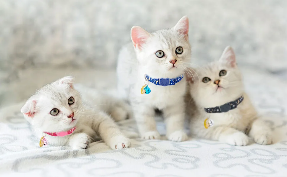KOOLTAIL Cat Collar Breakaway with Bells - 6 Pack Glow in The Dark - Cute Pattern Pet Reflective Collars Ideal for Kitten Cats Puppy Star & Moon - product information 22