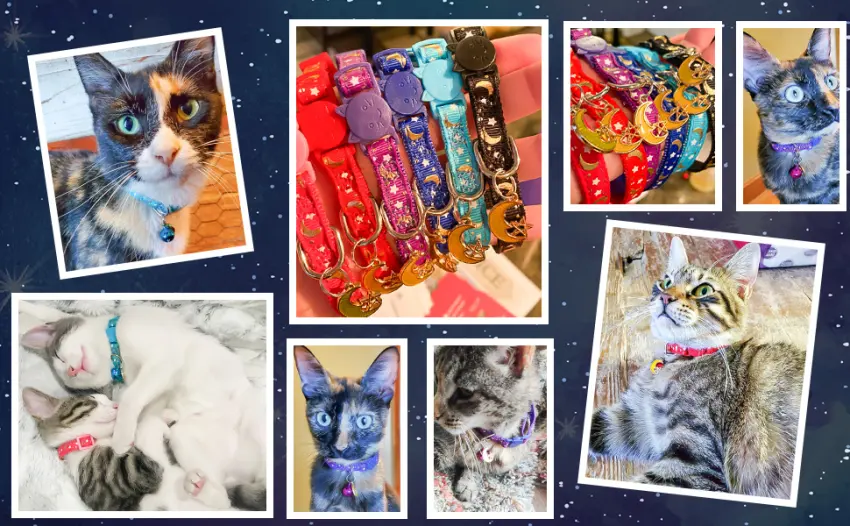 KOOLTAIL Cat Collar Breakaway with Bells - 6 Pack Glow in The Dark - Cute Pattern Pet Reflective Collars Ideal for Kitten Cats Puppy Star & Moon - product information 27