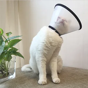 Depets Adjustable Recovery Pet Cone E-Collar for Cats Puppy Rabbit, Plastic Elizabeth Protective Collar Wound Healing Practical Neck Cover S: 5.9-7.6 IN - product information 17