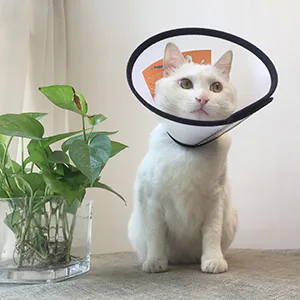 Depets Adjustable Recovery Pet Cone E-Collar for Cats Puppy Rabbit, Plastic Elizabeth Protective Collar Wound Healing Practical Neck Cover S: 5.9-7.6 IN - product information 18