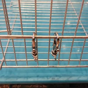 Pssopp 12Pcs Pet Birds Cage Metal Hook Clip Iron Anti-Escape Pet Bird Cage Door Buckle Lock Claw Trigger Snap Hook - Pet Birds Cage Metal Hook